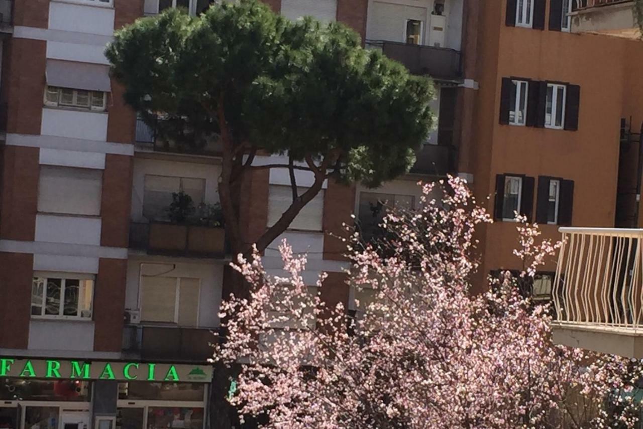 Sweet Saint Peter Apartment
